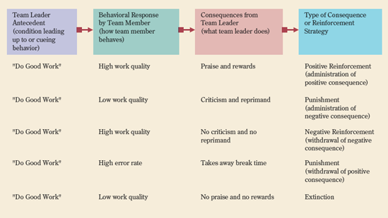 Examples of comprehensive managerial use of reinforcement strategies.