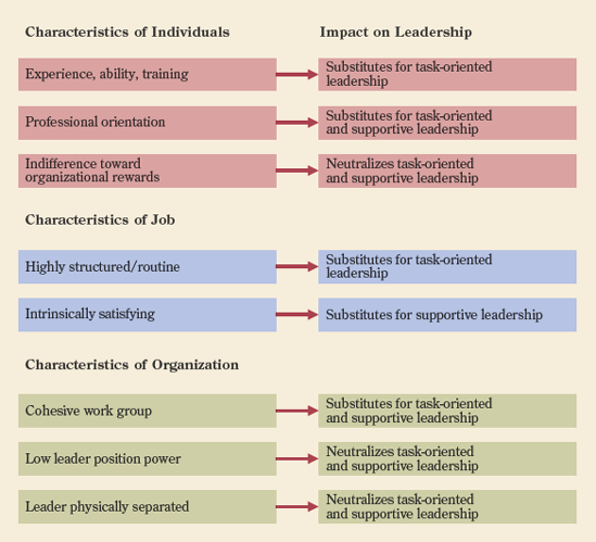 Some examples of leadership substitutes and neutralizers.