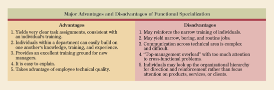 Major advantages and disadvantages of functional specialization.