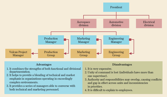 A matrix pattern of departmentation in an aerospace division.