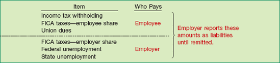 Summary of Payroll Liabilities