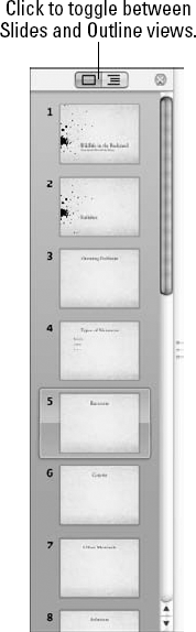 Click the Slides button to view a navigation pane containing all the slides in your presentation.