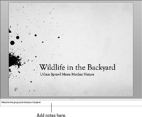 Use the Notes pane to add notes about a slide.