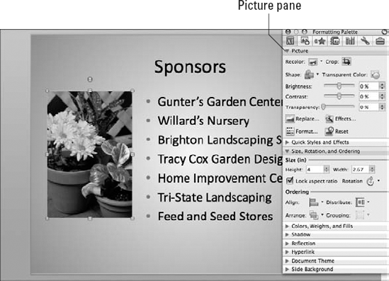 PowerPoint displays element-specific panes for formatting individual slide elements.