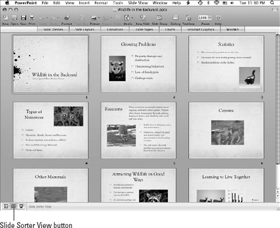 PowerPoint's Slide Sorter view is the place to view all the slides in a show and make adjustments to the arrangement.