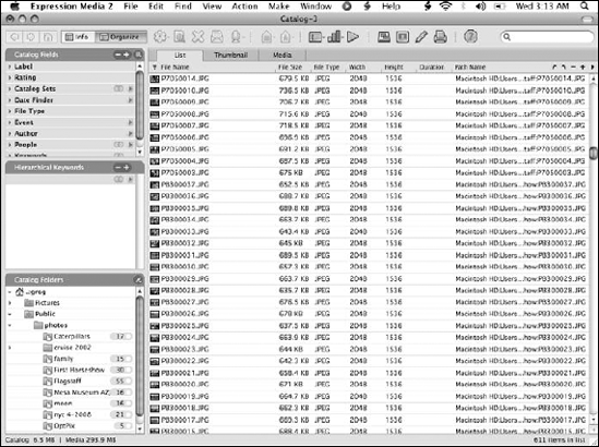 The Organize panel lets you group, sort, and filter your catalogs based on file metadata.