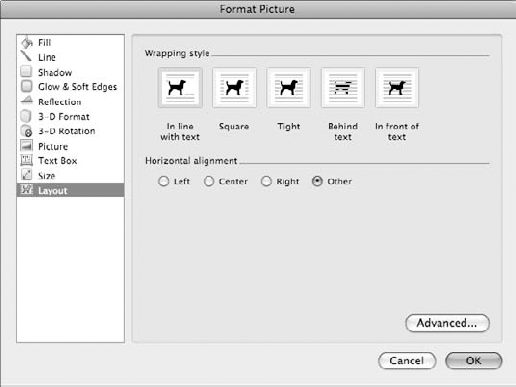 The Format dialog box is the same for clip art and picture objects.