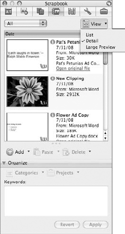 You can control how items are listed in the Scrapbook using the View button.