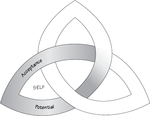 Self–Acceptance and Potential