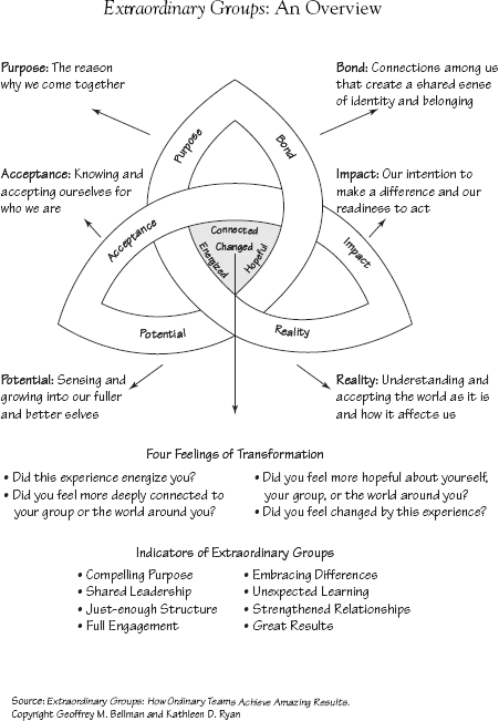 AN OVERVIEW OF EXTRAORDINARY GROUPS