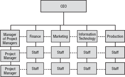 Strong matrix organizational chart