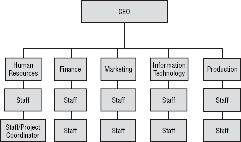 Weak matrix organizational chart
