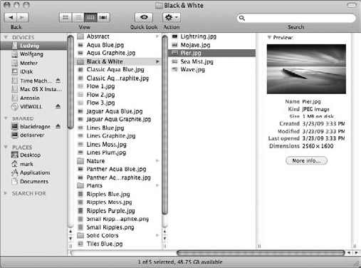 The Preview column provides more information on the selected file.