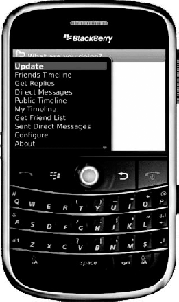Twitter- Berry, a Twitter BlackBerry application.