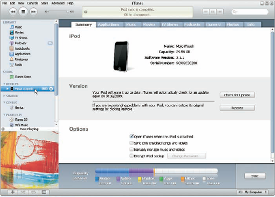 The iPod touch Summary page in iTunes offers sync options.