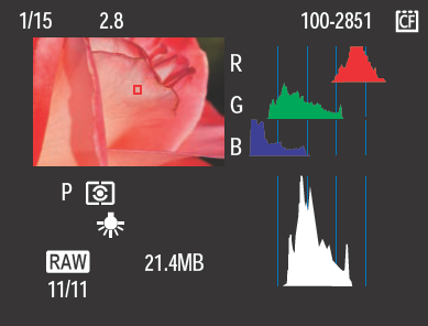 This is the Shooting information display with the RGB and Brightness histograms.