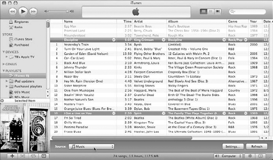 iTunes DJ spins random songs from your entire library or from a playlist.