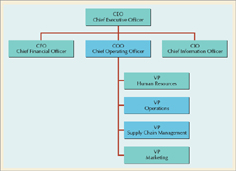 Sample Organizational Structure