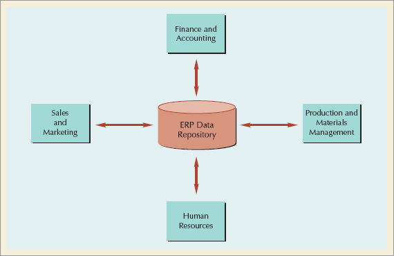 ERP's Central Database
