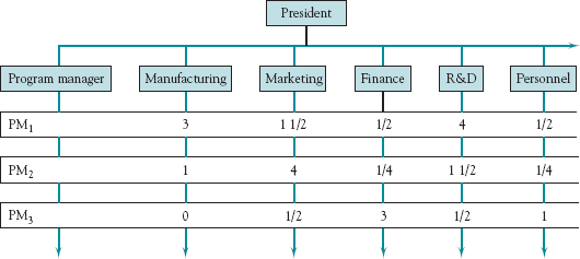 Matrix project organization.