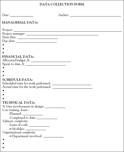 Form to audit a software installation project.