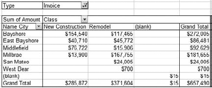 Here, Type is used as the Page Field, and Invoice is the selected Type.