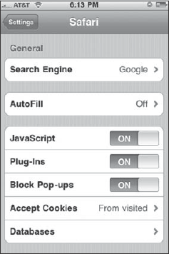 Safari on iPhone preferences