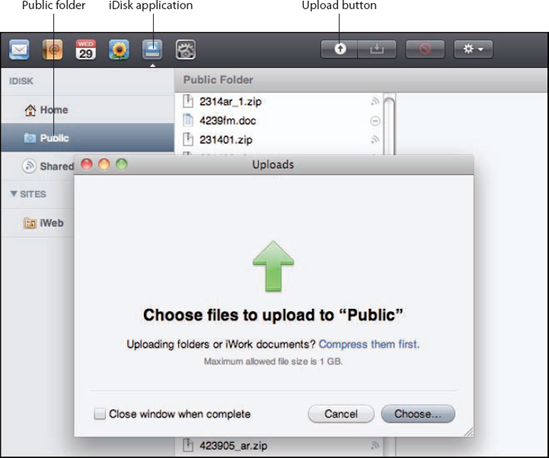 Use the iDisk application to upload files you want to share to your Public folder.