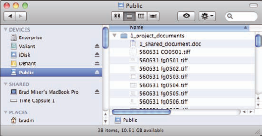 Here's the same Public folder as in figure 5.9, but now it is mounted on a Mac's desktop.