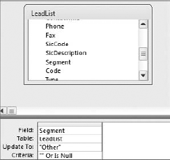 This query updates blank values in the Segment field to a value of "Other."