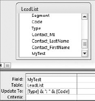 This query concatenates the row values of the Type field and the Code field and separates them with a colon.