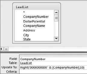 This query updates each value in the CompanyNumber field to a 10-character string with leading zeros.