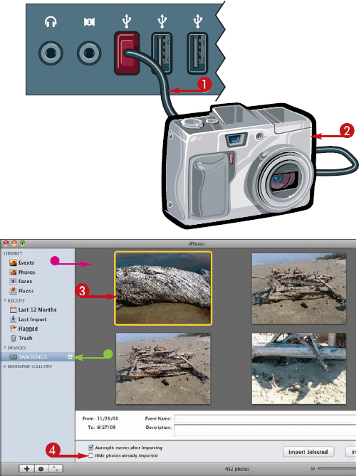 Import Photos from Your Digital Camera