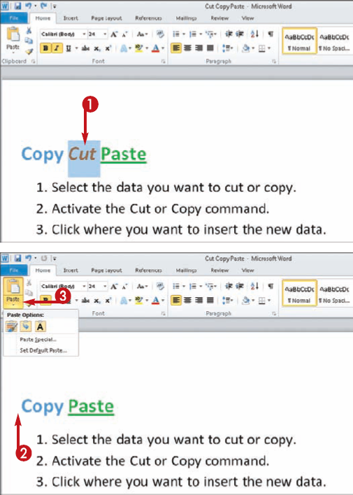 Preview Paste Options