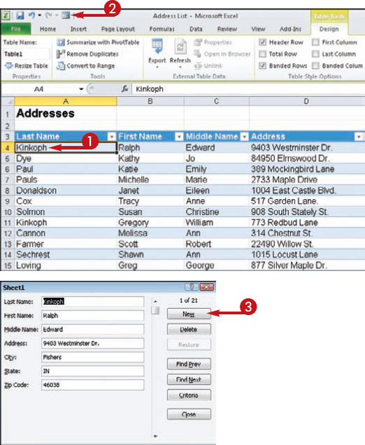 Add and Edit Records Using Data Forms