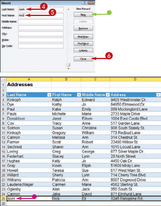 Add and Edit Records Using Data Forms