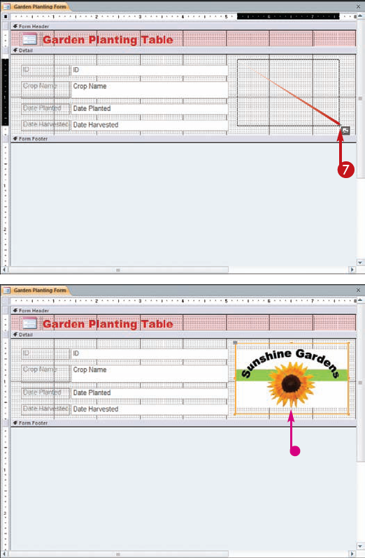 Jazz Up Your Forms with Pictures