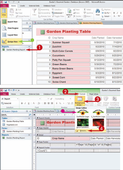 Add a Background to a Report