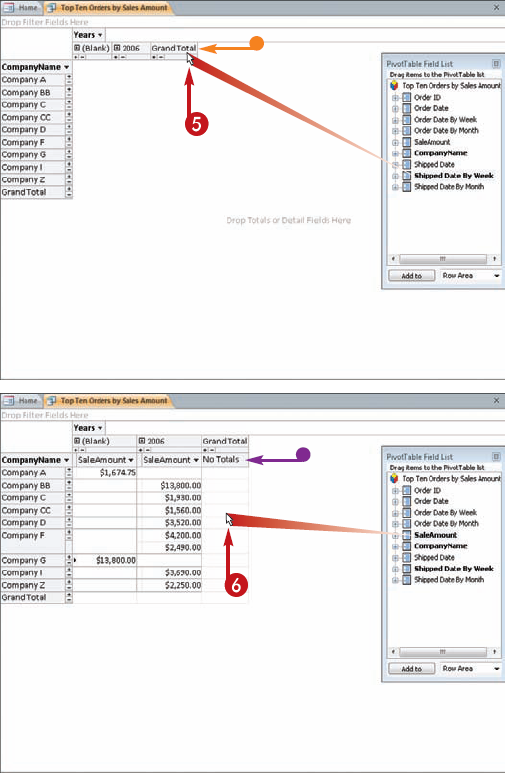 Summarize a Datasheet with a PivotTable