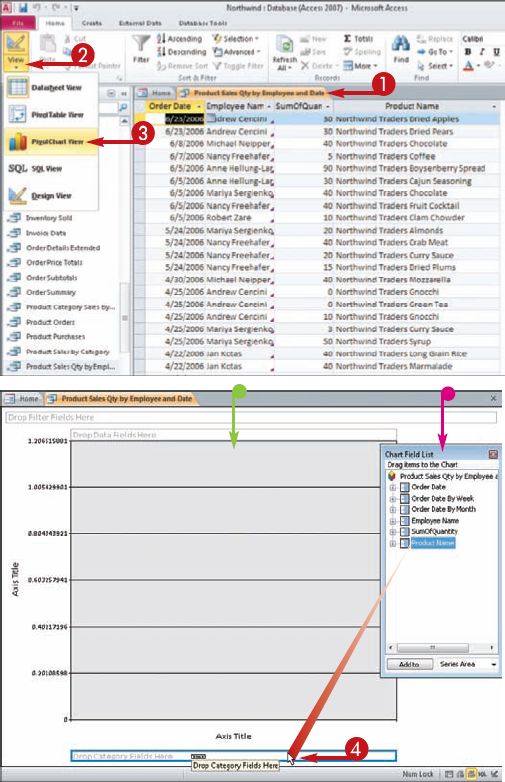 Summarize a Datasheet with a PivotChart