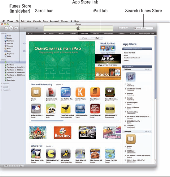 The iTunes App Store, in all its glory.