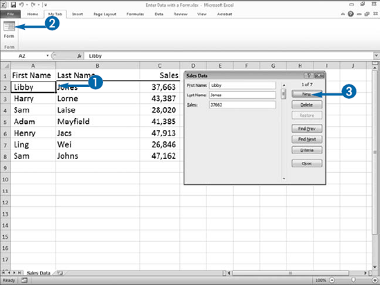 Enter Data with a Form