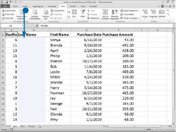 Perform Simple Sorts and Filters