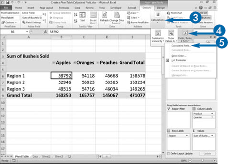 Create a PivotTable Calculated Field