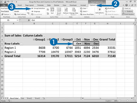 Group the Rows or Columns in a PivotTable