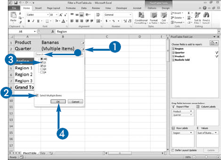 Filter a PivotTable