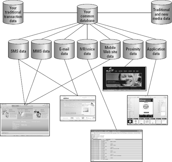 A mobile marketing database stores information you can use and analyze.