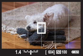 The Live View screen with the 6 × 4 grid is displayed