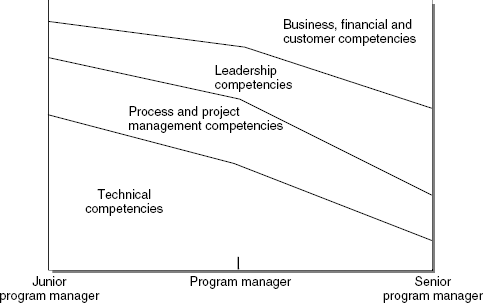 The program management competency—Maturity Mix.