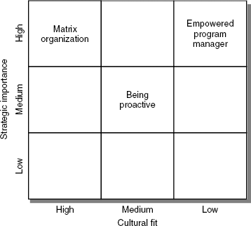 Cultural assessment matrix.